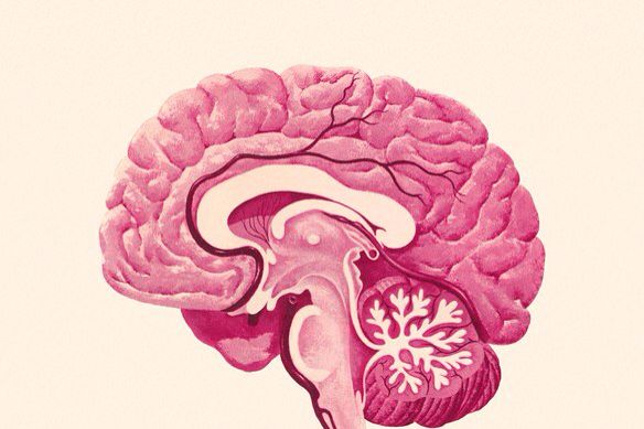 Como seu estilo de vida está moldando seu cérebro todos os dias?