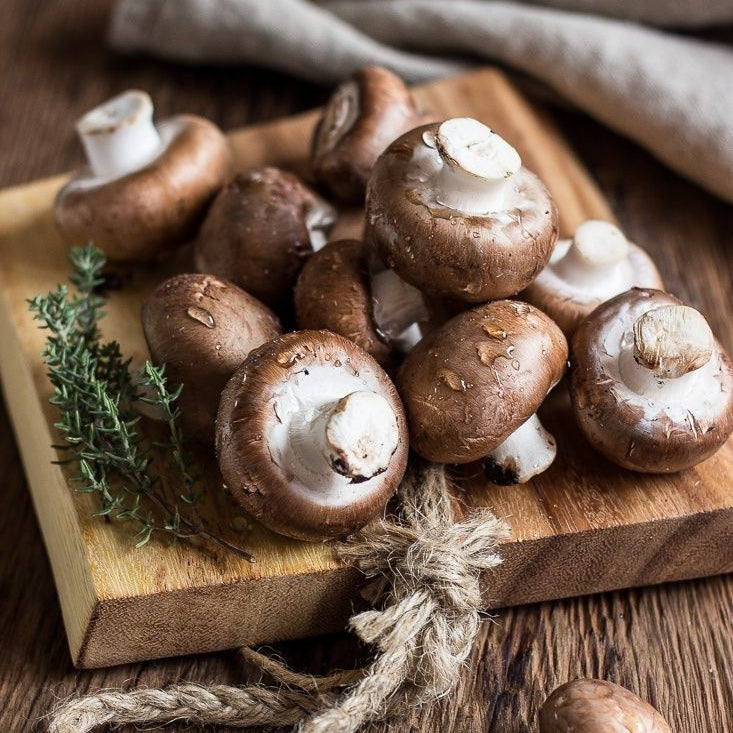 Potencial do Agaricus bisporus (Marrom) na Saúde: Imunidade e Combate ao Câncer