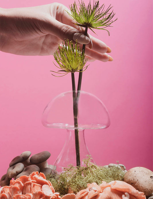 Taça de vidro formato cogumelo
